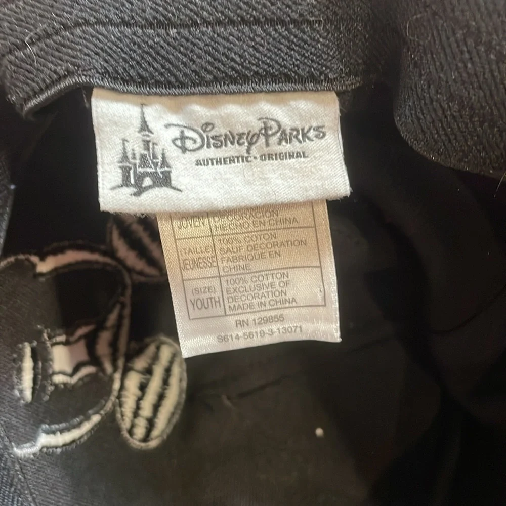 Disney parks youth